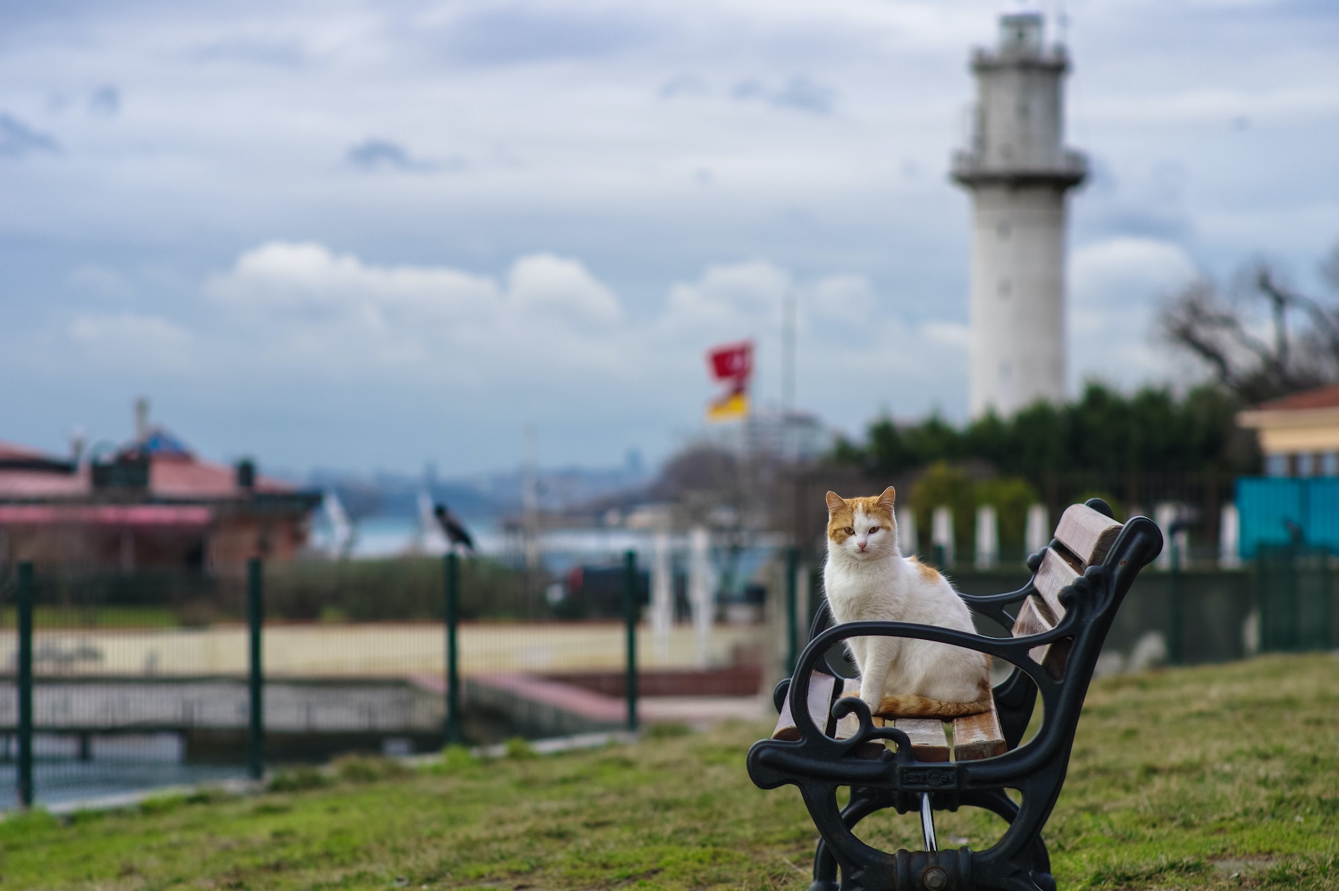 Kadıköy'ün Gezilecek Yerleri