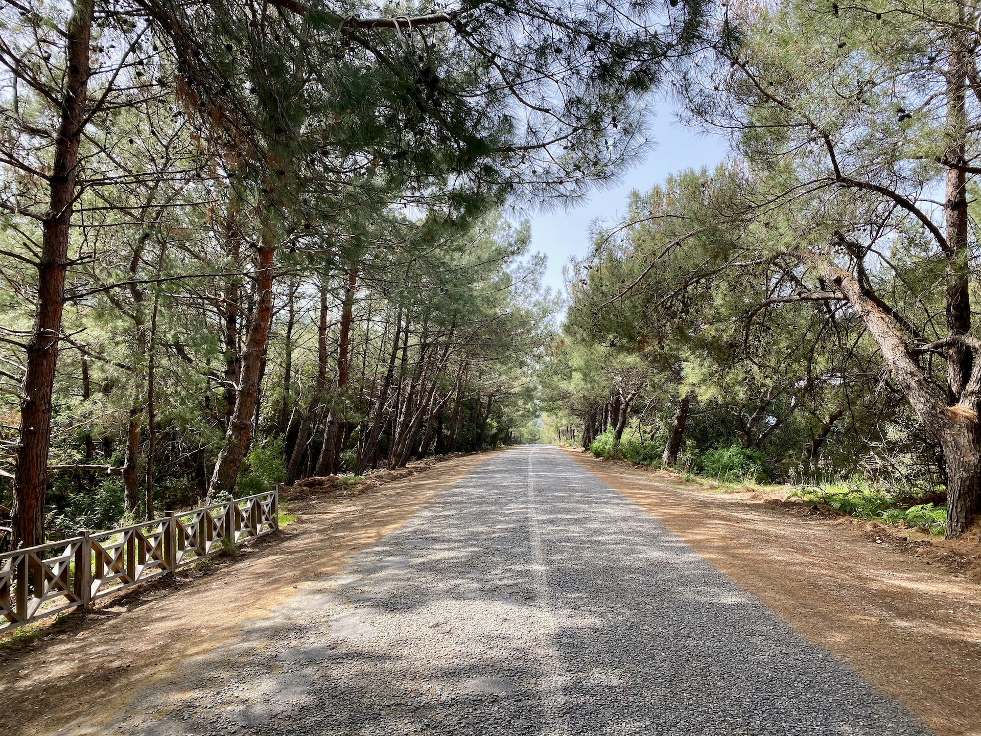 Türkiye'deki Milli Parklar